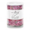 Pot de Cire avec Bandes Raspberry Italwax Flex