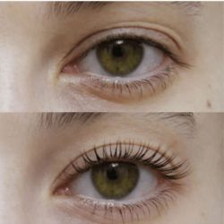 Pads en Silicone Réhaussement de Cils Coréen