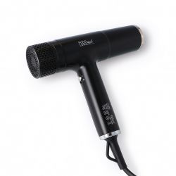 Sèche-cheveux ionique ION X professionnel