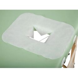 Housse de Protection pour Têtière 27x35cm 45g/m2
