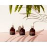 SNAIL REPAIR INTENSIVE AMPOULE - MIZON