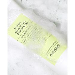 PURI-TEA SALICYLIC ACID CLEANSING GEL - MEISANI