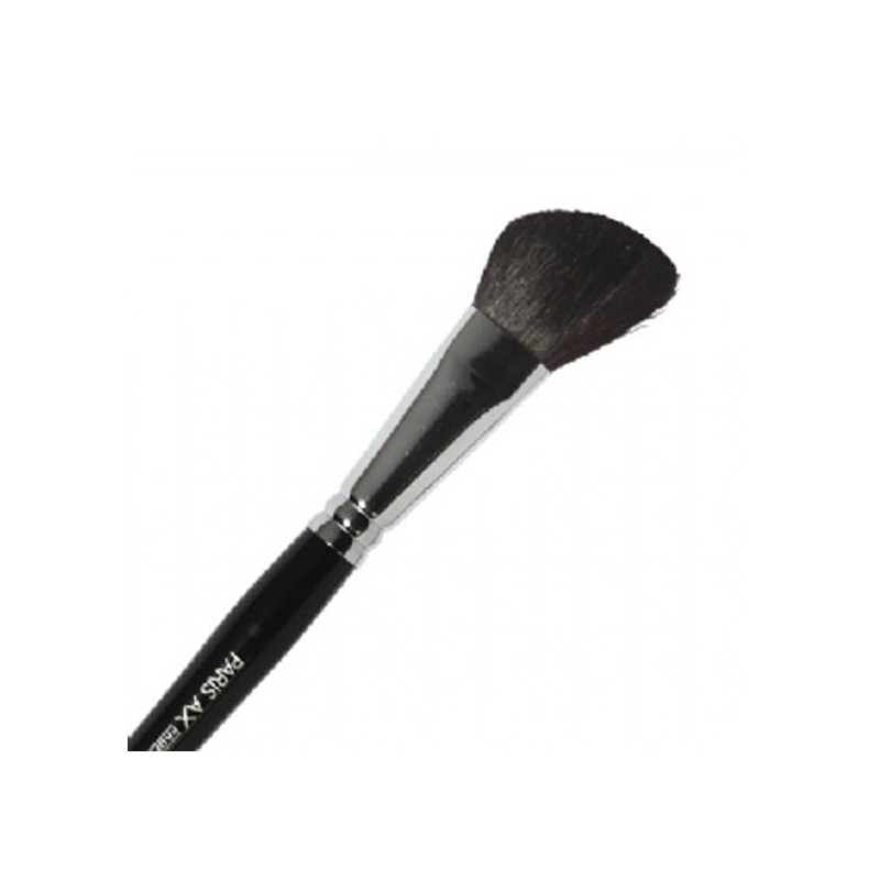 PINCEAU BLUSH BISEAUTE 6 PINCEAU BLUSH BISEAUTE 6